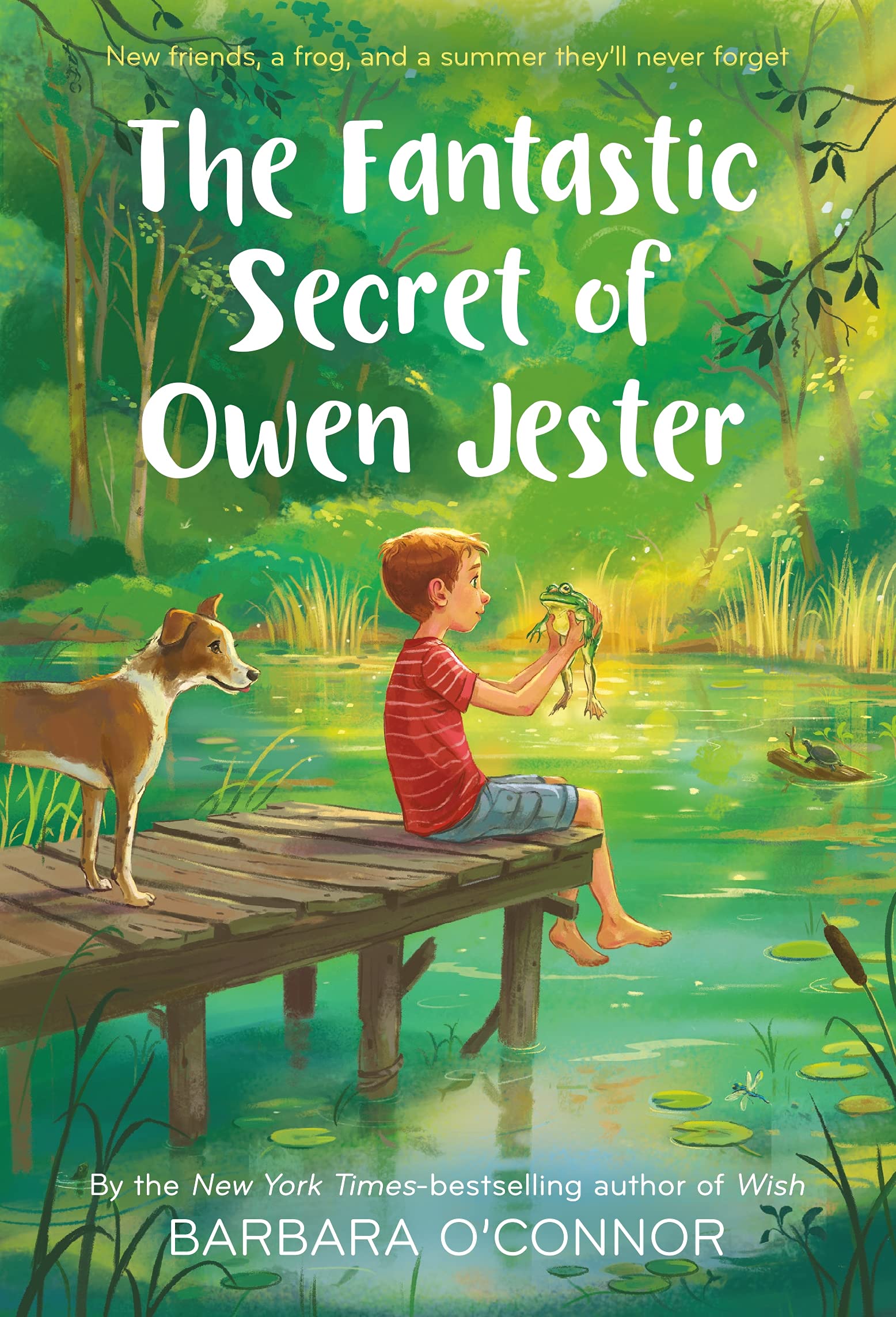 The Fantastic Secret of Owen Jester: O'Connor, Barbara